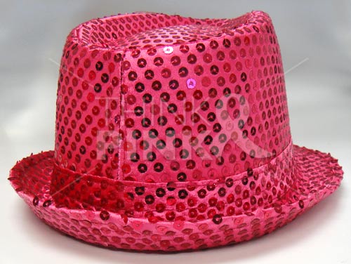 Fuchsia Sequin Fedora Hat