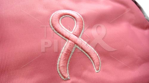Embroidered Pink Ribbon Fanny Pack
